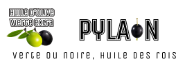 pylaon.eu